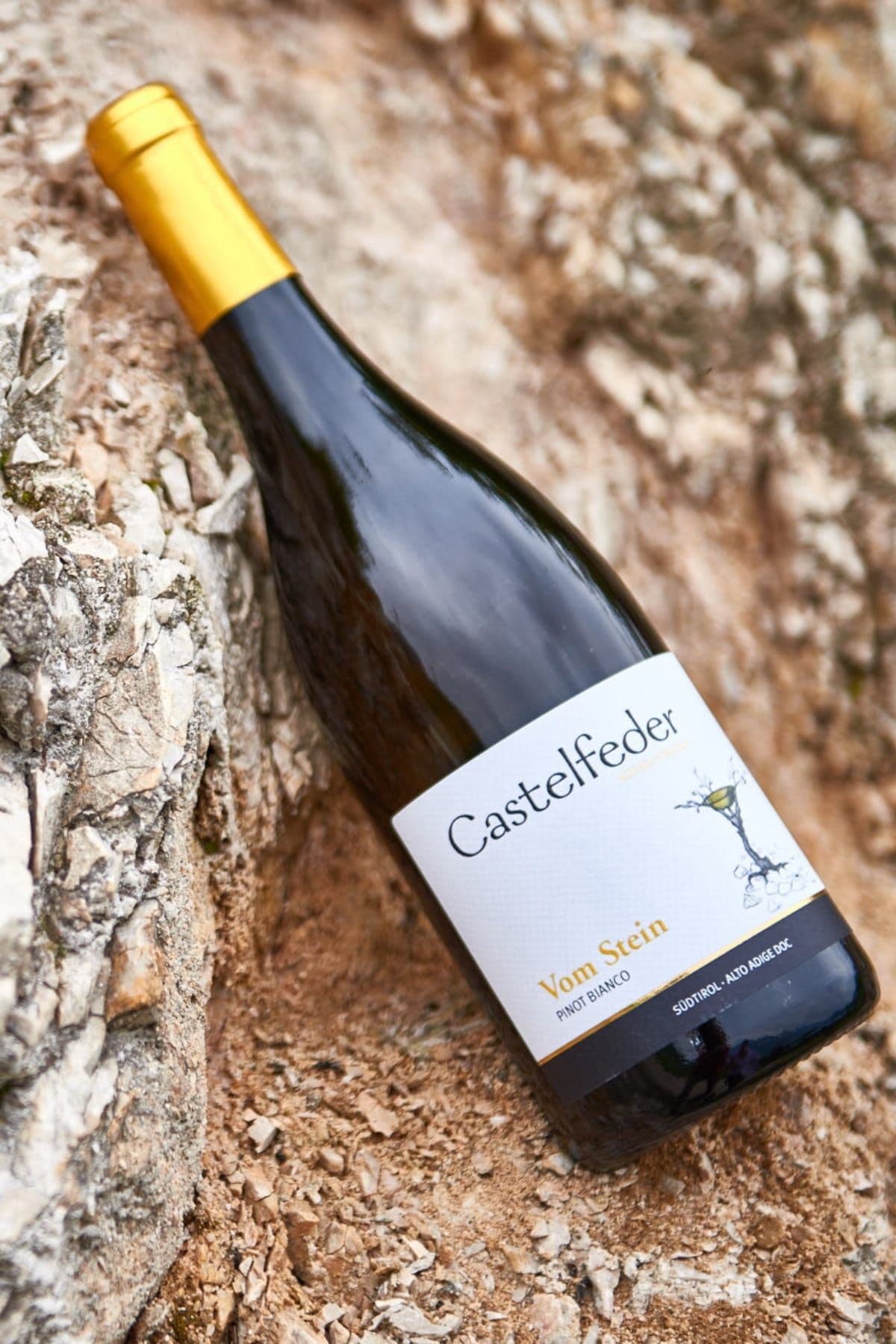 Castelfeder Weingut
